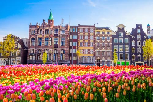 best-day-trips-from-Amsterdam